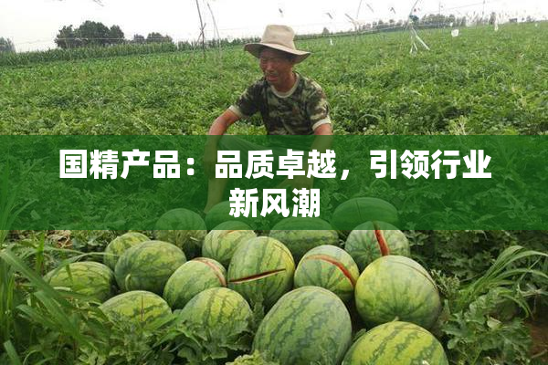 国精产品：品质卓越，引领行业新风潮
