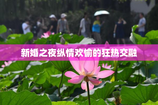 新婚之夜纵情欢愉的狂热交融