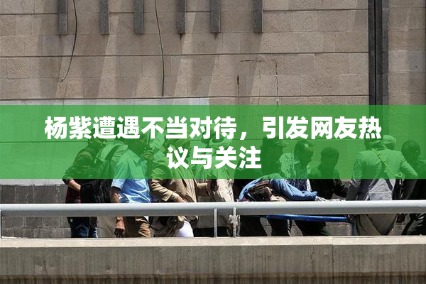 杨紫遭遇不当对待，引发网友热议与关注