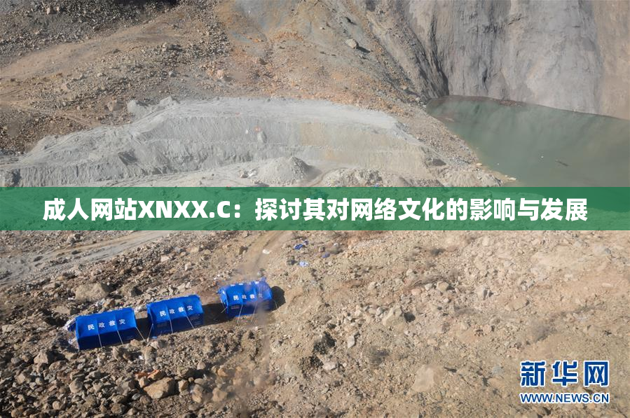 成人网站XNXX.C：探讨其对网络文化的影响与发展