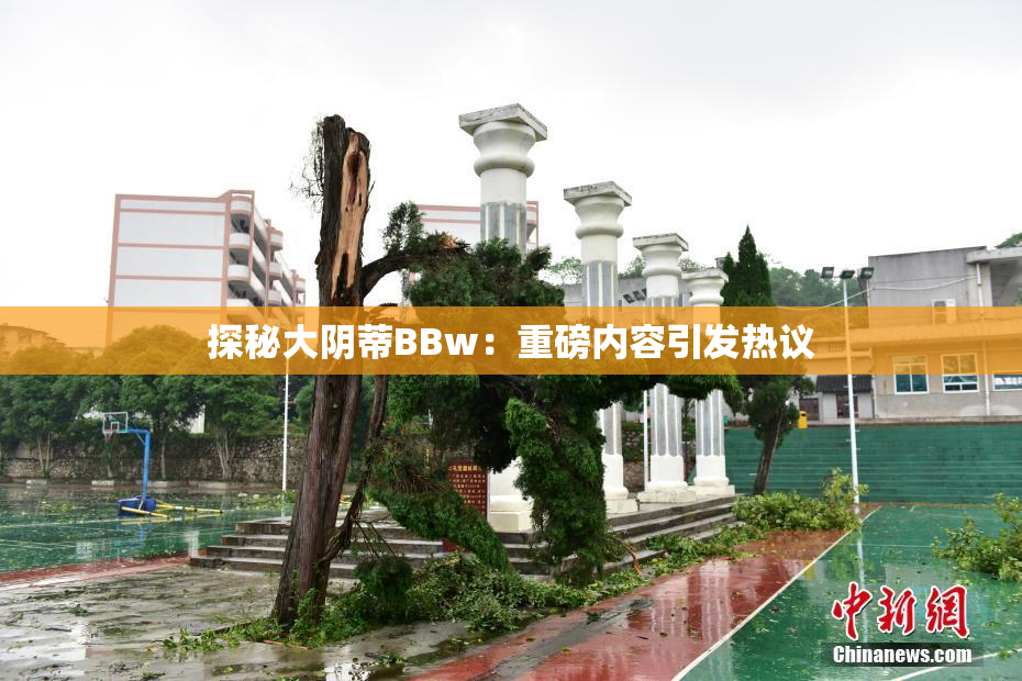 探秘大阴蒂BBw：重磅内容引发热议