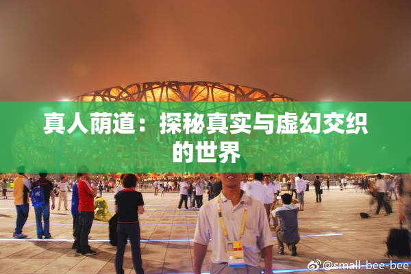 真人荫道：探秘真实与虚幻交织的世界
