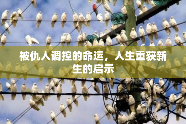 被仇人调控的命运，人生重获新生的启示