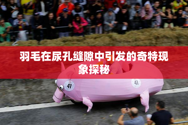 羽毛在尿孔缝隙中引发的奇特现象探秘