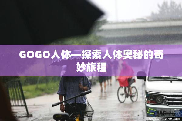 GOGO人体—探索人体奥秘的奇妙旅程