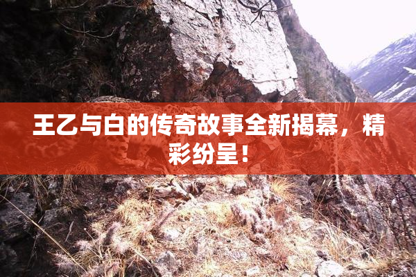 王乙与白的传奇故事全新揭幕，精彩纷呈！
