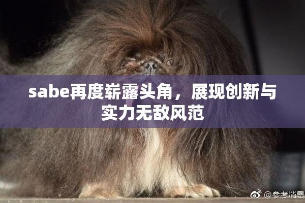 sabe再度崭露头角，展现创新与实力无敌风范