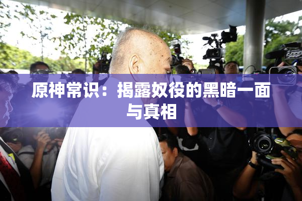 原神常识：揭露奴役的黑暗一面与真相