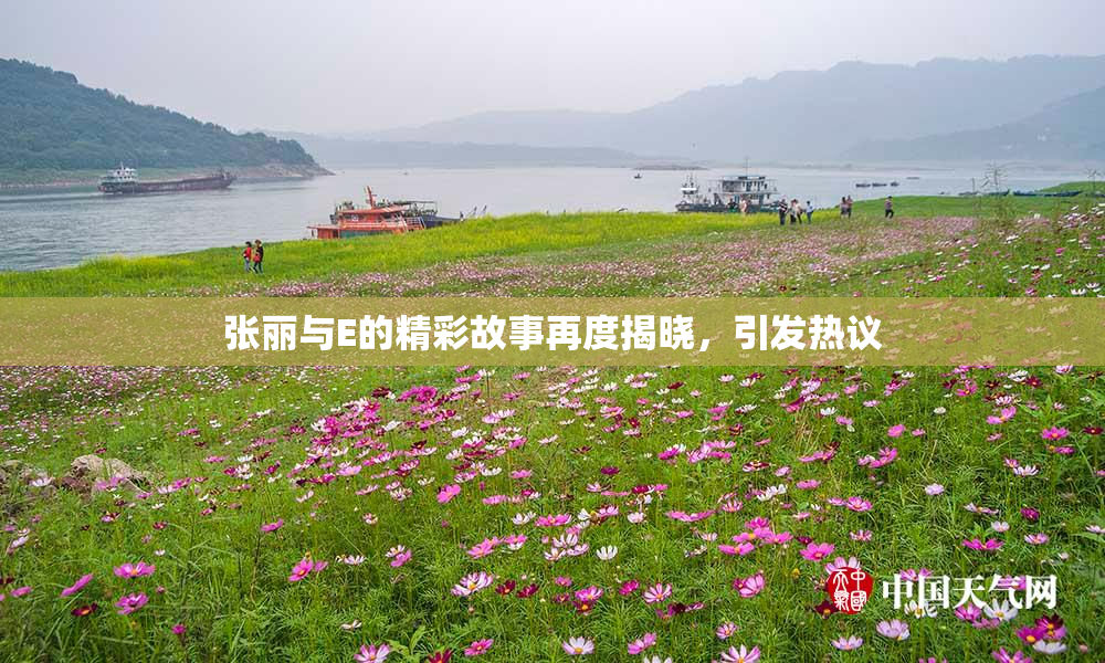 张丽与E的精彩故事再度揭晓，引发热议