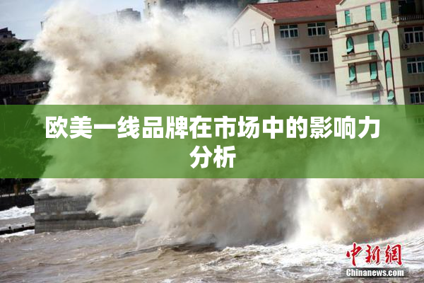 欧美一线品牌在市场中的影响力分析