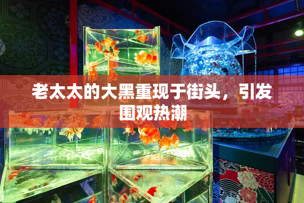 老太太的大黑重现于街头，引发围观热潮