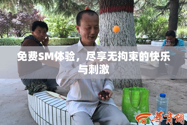 免费SM体验，尽享无拘束的快乐与刺激
