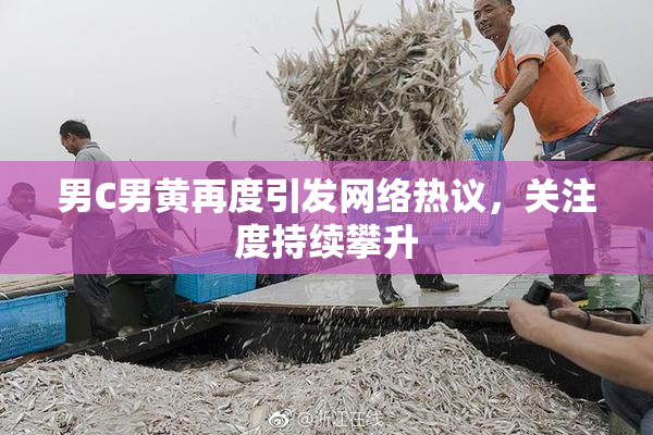 男C男黄再度引发网络热议，关注度持续攀升