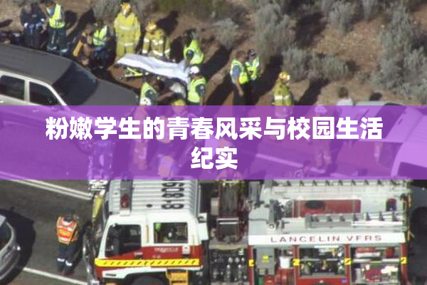 粉嫩学生的青春风采与校园生活纪实