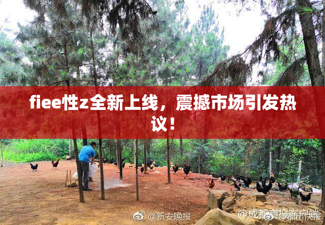 fiee性z全新上线，震撼市场引发热议！