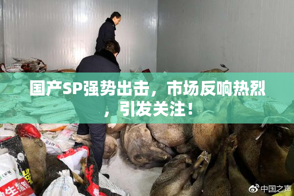 国产SP强势出击，市场反响热烈，引发关注！