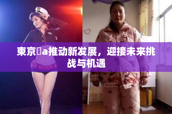 柬京埶a推动新发展，迎接未来挑战与机遇