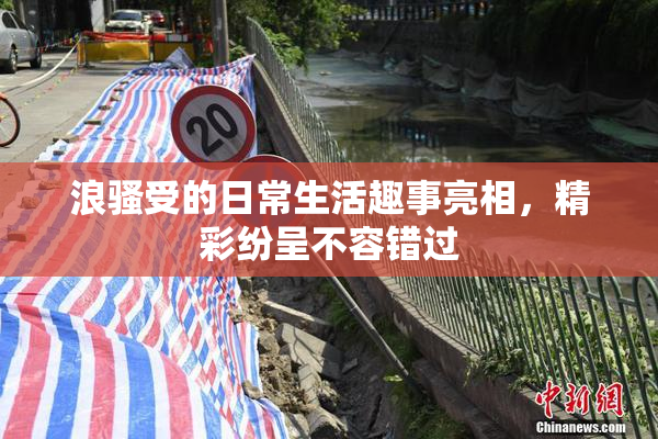 浪骚受的日常生活趣事亮相，精彩纷呈不容错过