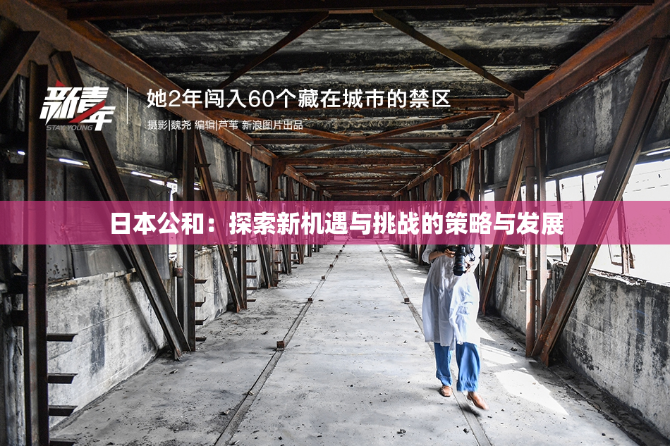 日本公和：探索新机遇与挑战的策略与发展