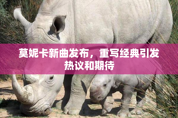 莫妮卡新曲发布，重写经典引发热议和期待