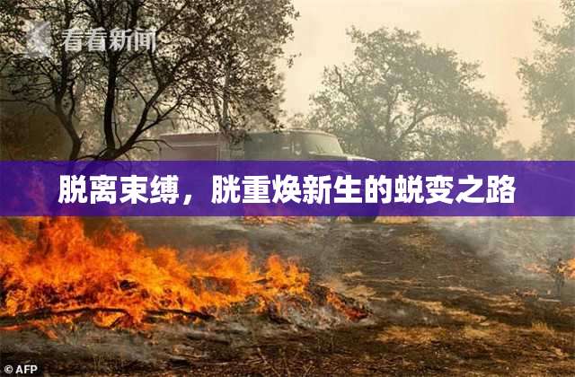 脱离束缚，胱重焕新生的蜕变之路