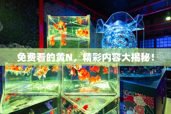 免费看的黄Ν，精彩内容大揭秘！