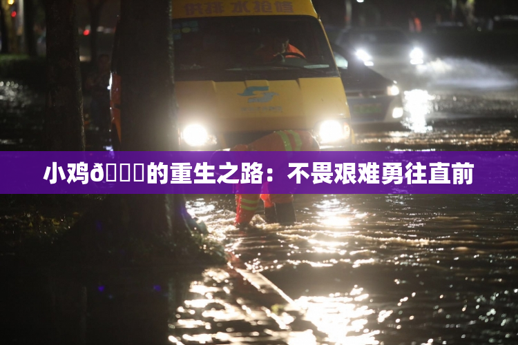 小鸡🐔的重生之路：不畏艰难勇往直前
