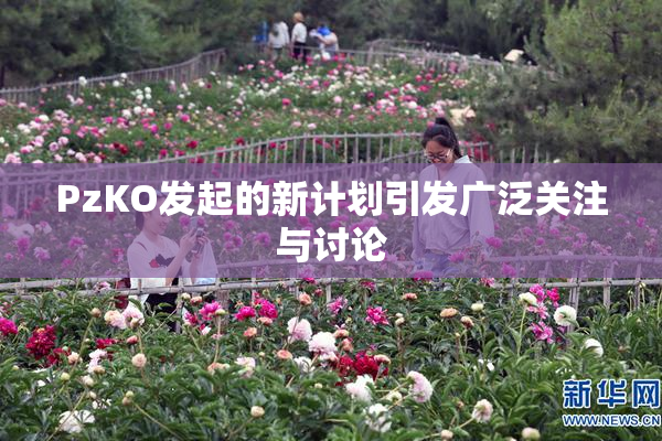 PzKO发起的新计划引发广泛关注与讨论