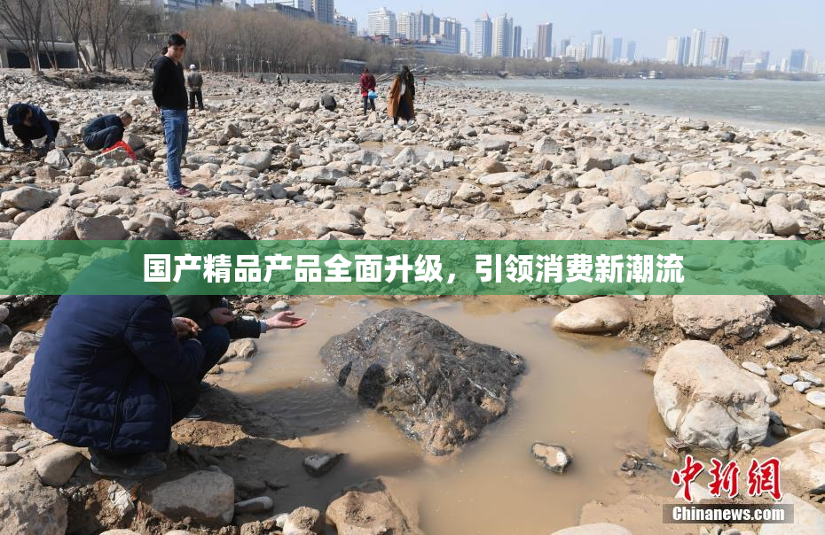 国产精品产品全面升级，引领消费新潮流