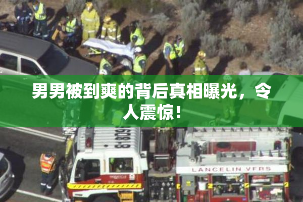 男男被到爽的背后真相曝光，令人震惊！