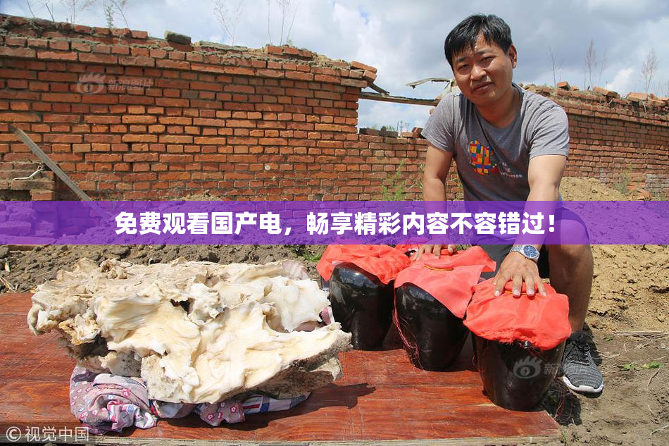 免费观看国产电，畅享精彩内容不容错过！