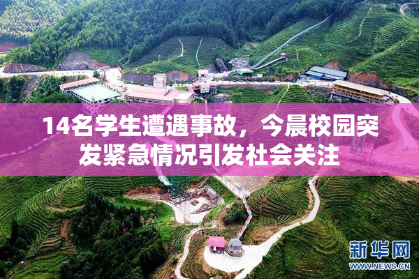 14名学生遭遇事故，今晨校园突发紧急情况引发社会关注