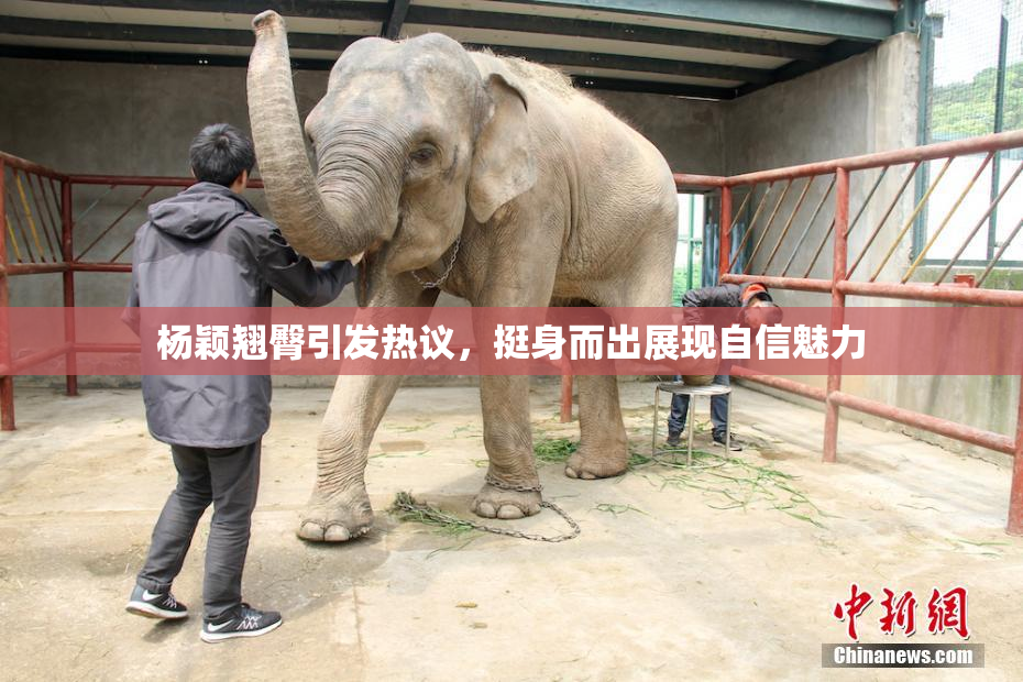 杨颖翘臀引发热议，挺身而出展现自信魅力