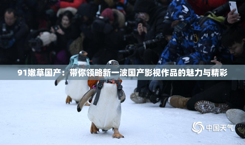 91嫩草国产：带你领略新一波国产影视作品的魅力与精彩