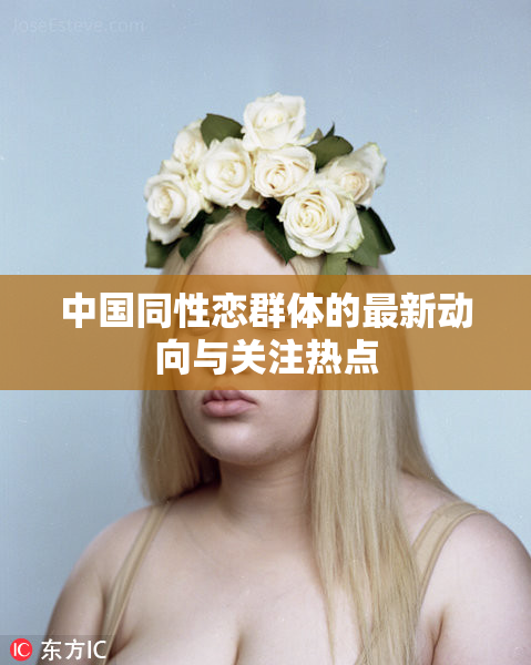 中国同性恋群体的最新动向与关注热点