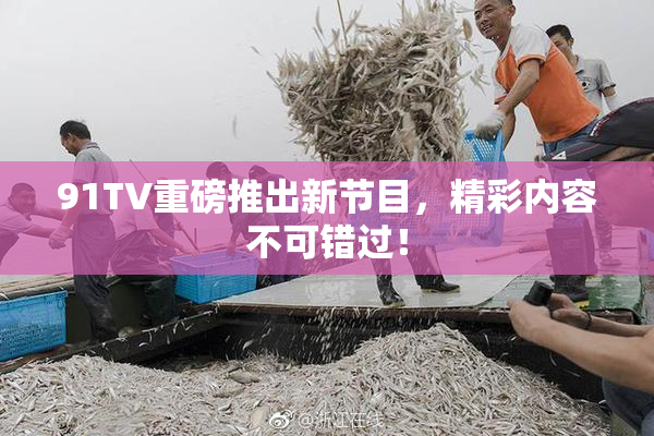 91TV重磅推出新节目，精彩内容不可错过！