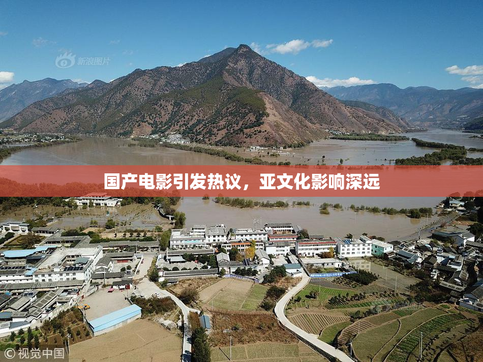 国产电影引发热议，亚文化影响深远