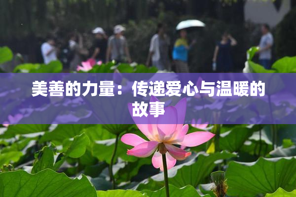 美善的力量：传递爱心与温暖的故事