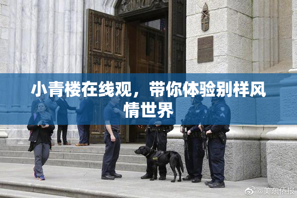 小青楼在线观，带你体验别样风情世界