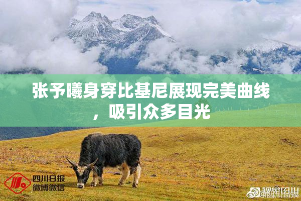 张予曦身穿比基尼展现完美曲线，吸引众多目光