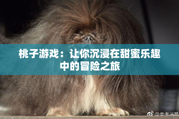 桃子游戏：让你沉浸在甜蜜乐趣中的冒险之旅