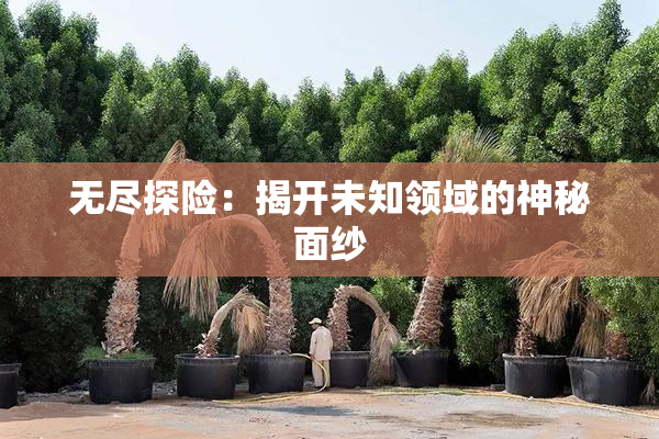 无尽探险：揭开未知领域的神秘面纱