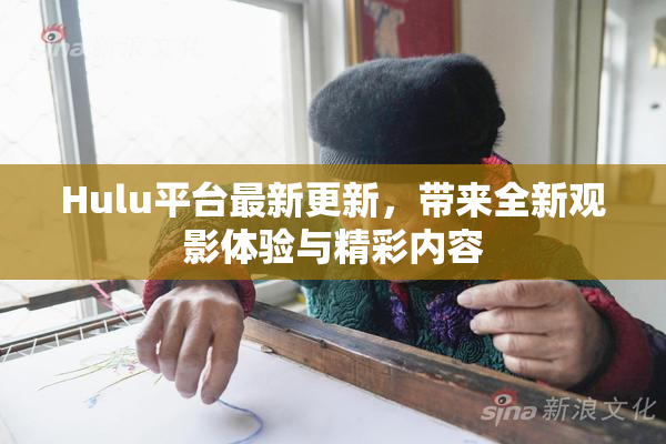 Hulu平台最新更新，带来全新观影体验与精彩内容