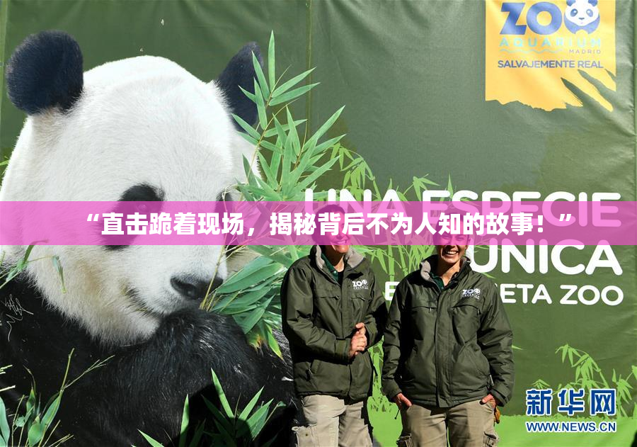 “直击跪着现场，揭秘背后不为人知的故事！”