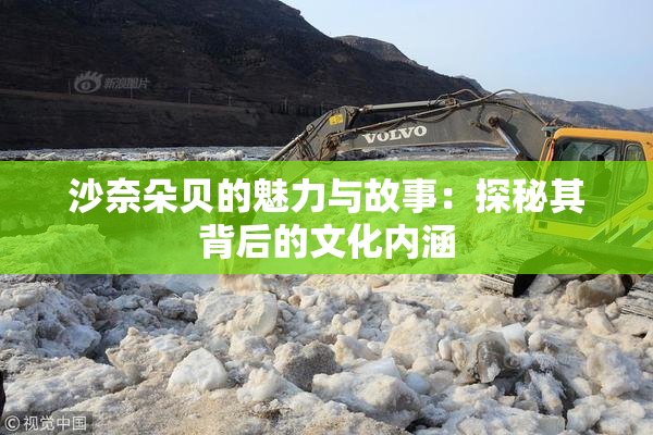 沙奈朵贝的魅力与故事：探秘其背后的文化内涵