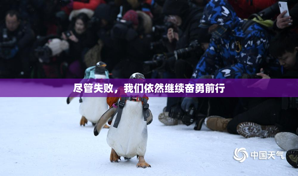 尽管失败，我们依然继续奋勇前行