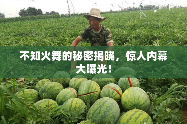 不知火舞的秘密揭晓，惊人内幕大曝光！