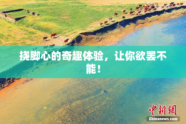 挠脚心的奇趣体验，让你欲罢不能！