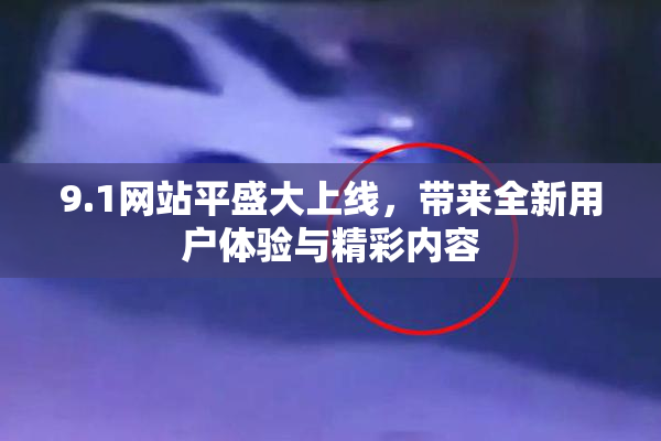 9.1网站平盛大上线，带来全新用户体验与精彩内容