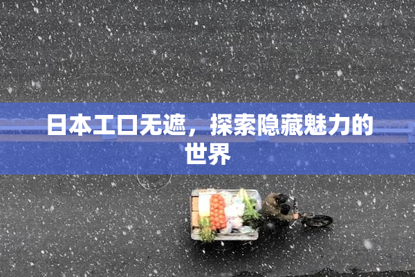 日本工口无遮，探索隐藏魅力的世界